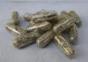 Mushroom Capsules
