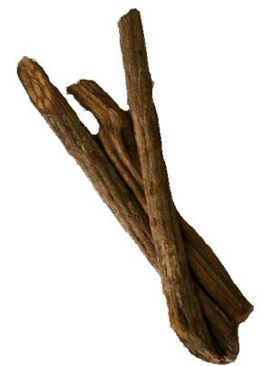 Banisteriopsis Caapi Trueno