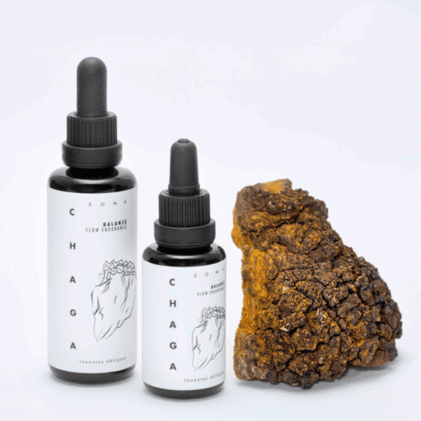 Chaga mushroom tincture